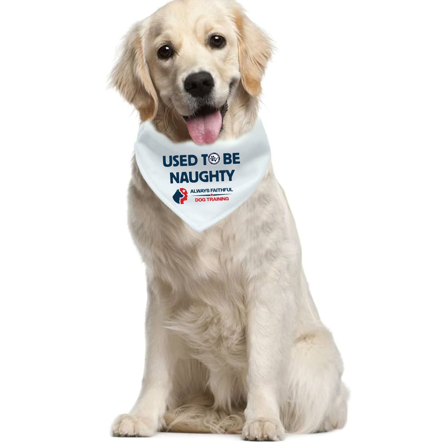 Small Pet Bandana