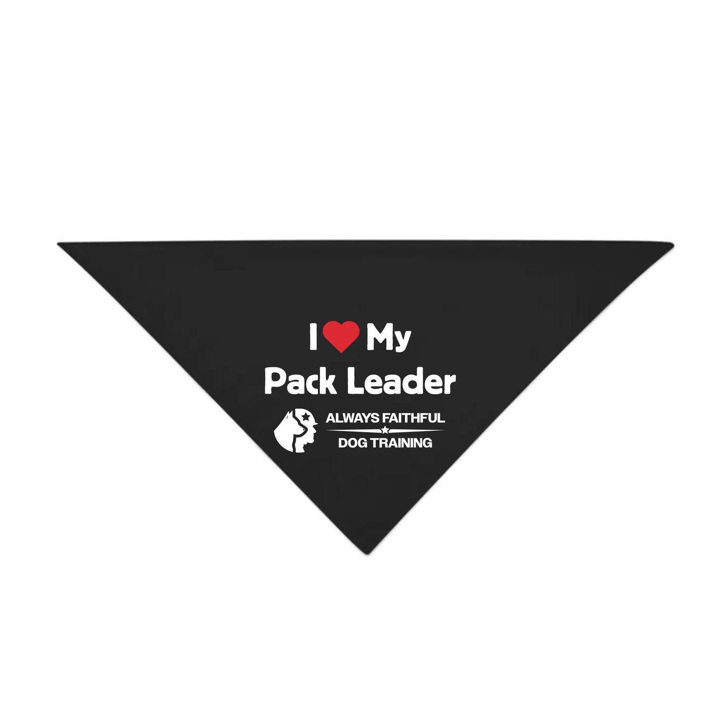 Small Pet Bandana