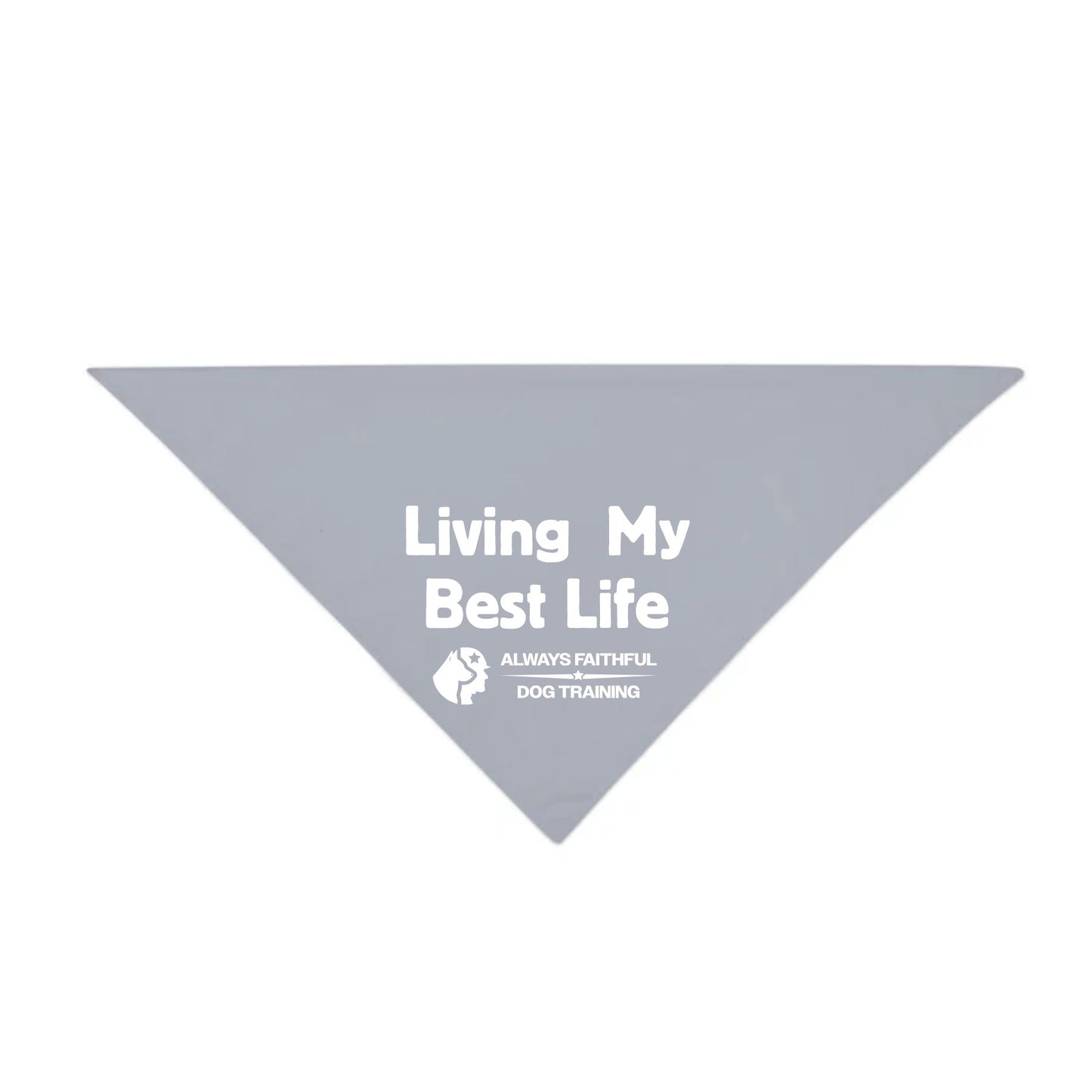 Small Pet Bandana