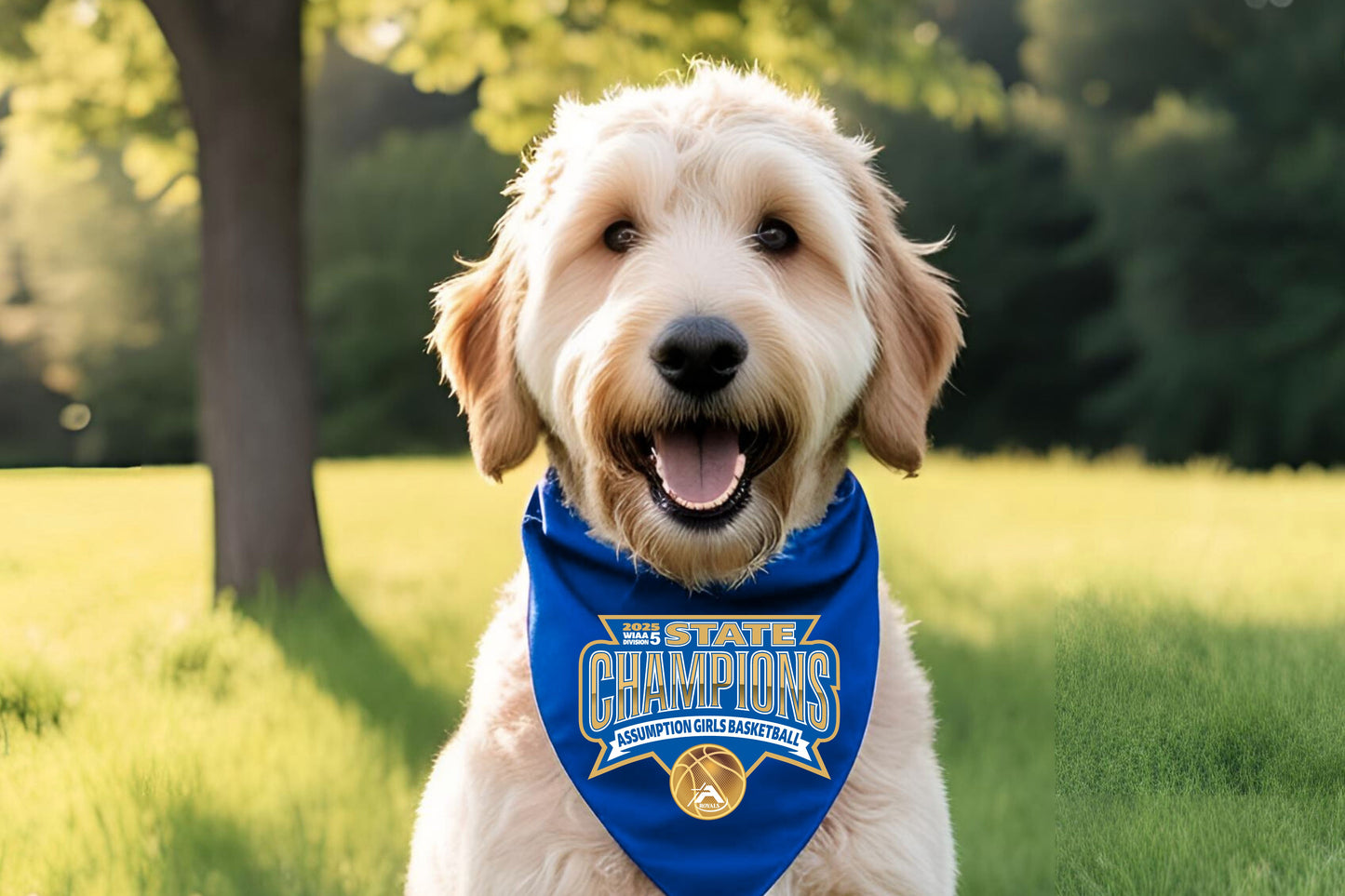 Pet Bandana - GBB State Champs!